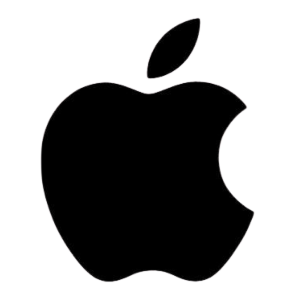 CARGADOR IPHONE FICHA A LIQUIDACION