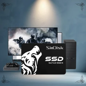 DISCO SSD 256GB SIMDISK 256GB